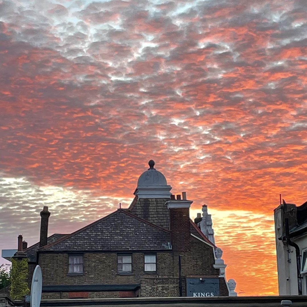 Tooting Newsie tweet media