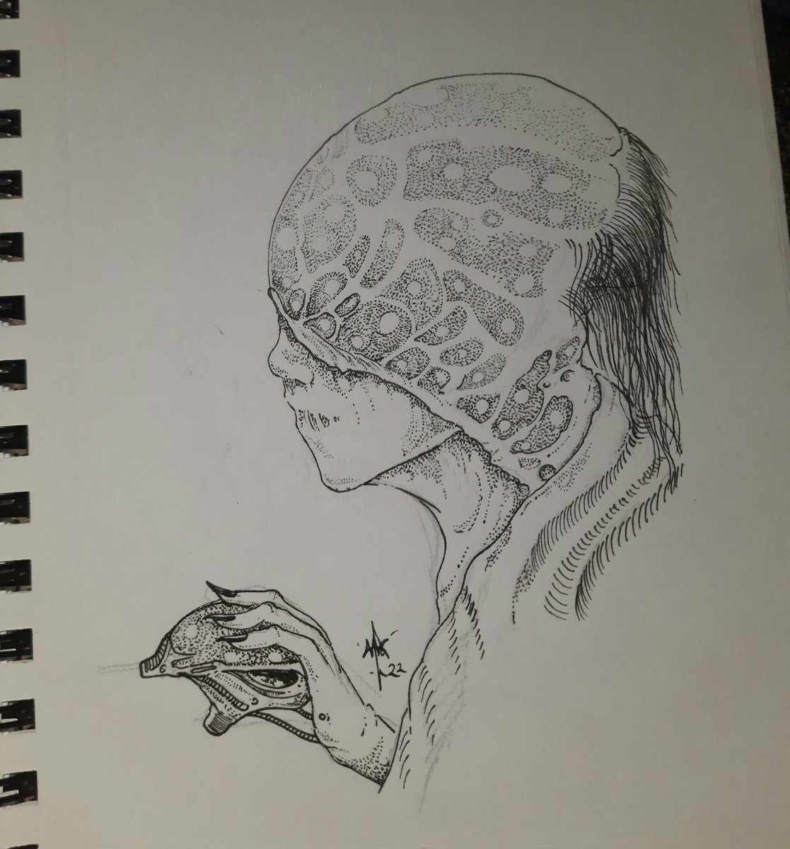 eyballsoup's tweet image. Sketchbook Offering 
"The Seeker.." 2022