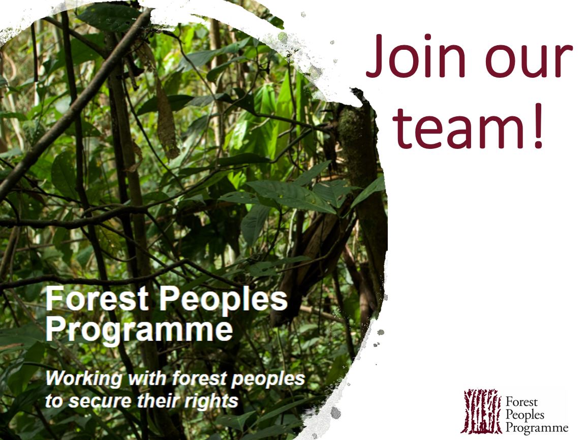 #Job: FPP Lawyer – Focus on #Colombia and #Peru ➡️Aimed at strengthening FPP’s & our partners’ international & regional legal & advocacy strategies & actions to defend #IndigenousPeoples’ collective rights & territories 📆Deadline: 5 August 🌏Read more 👇 forestpeoples.org/en/node/50921