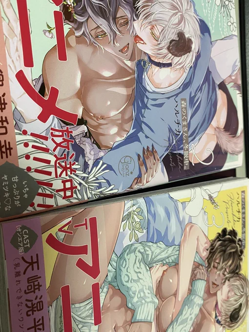 作者さんめっちゃおっぱい好きなんだなって思いながらその辺に表向けて置いておけない表紙だなって思いながら
続きを読みます 