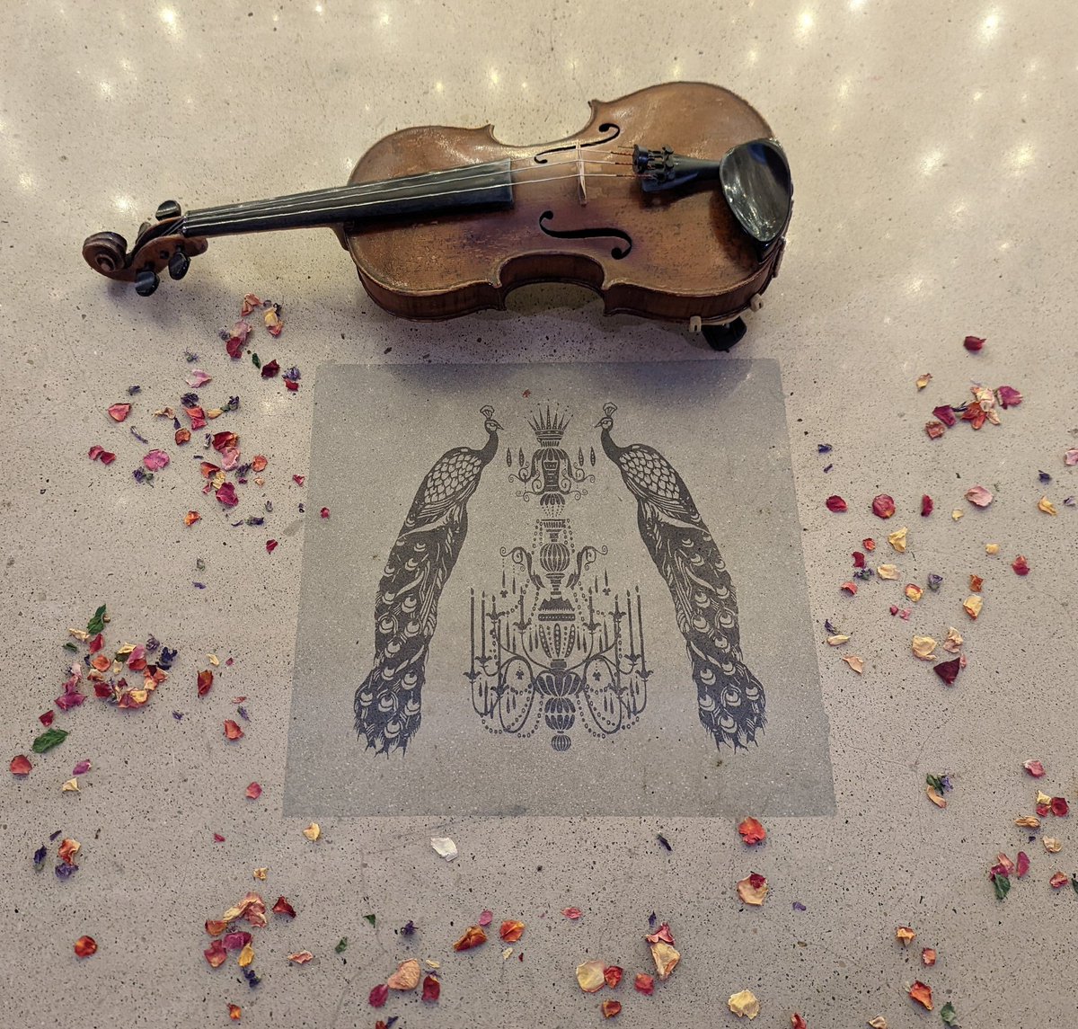 IndiaRoseString's tweet image. It was so lovely to be back at @wharfedalegrange on Sunday! Lorna and Tom's wedding was absolutely beautiful from start to finish.
#yorkshirestringquartet #modernstringquartet #stringquartetleeds #wharfedalegrange