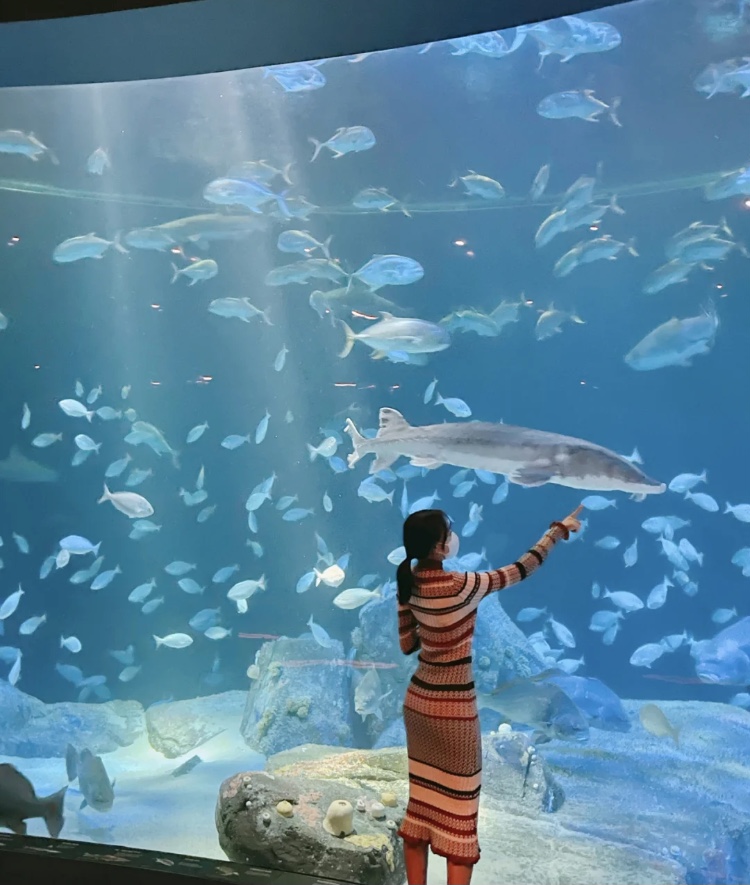 AndrewKeasling's tweet photo. A day at the aquarium😌 https://t.co/y4ahTAYo8U