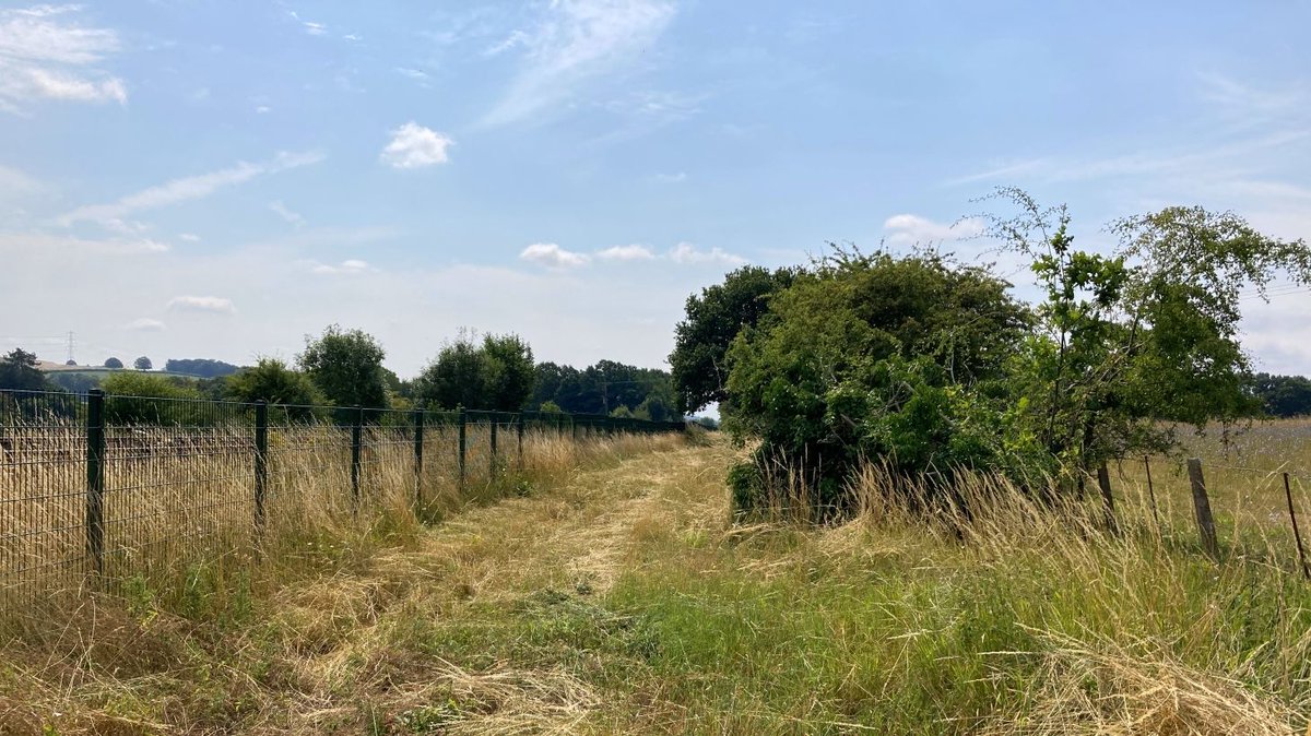 SustransSouth's tweet photo. Exciting news! Construction is about to start on the long-awaited Misbourne Greenway in #Buckinghamshire! The brand-new traffic-free #walking, #wheeling and #cycling route will be a safer and more enjoyable alternative to the busy A413. Find out more👇 https://t.co/YAltlp7F8Y https://t.co/5xKMRIPALi