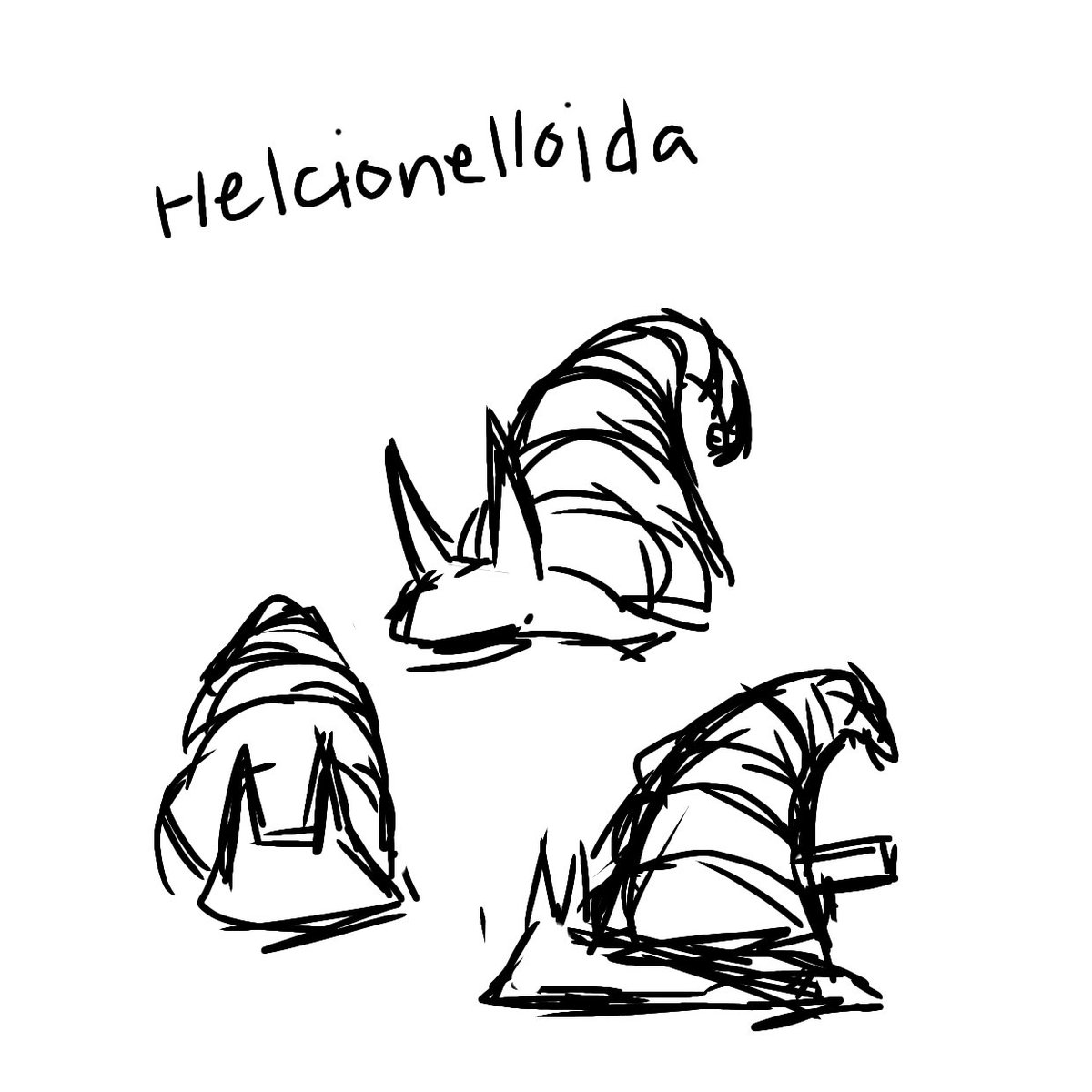 deckledswing's tweet photo. late day 4 of progressively worsening drawings of dead critters: snorkel wizard snail!

they lived in the cambrian to the early ordovician (the sources dont tell the exact timescale but thats within 540M-480M years ago) https://t.co/qXuaQ7NfDu