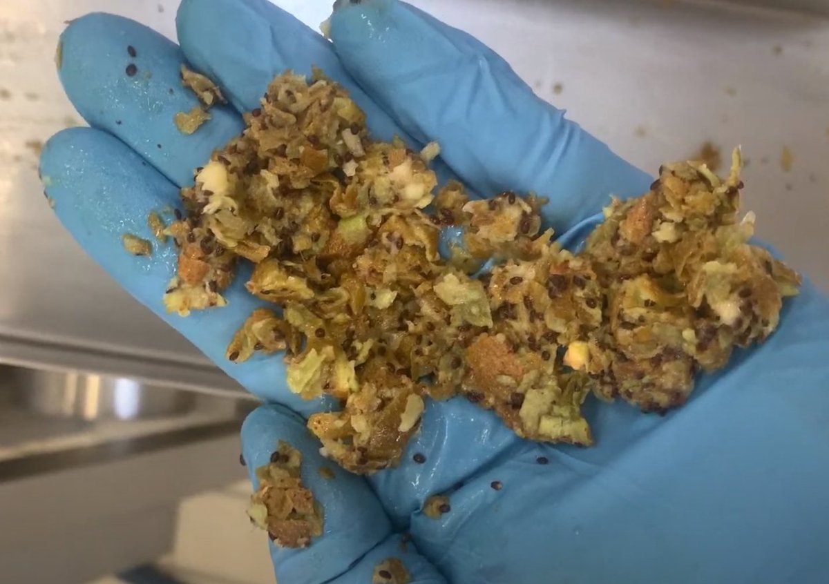 Bart Van Droogenbroe tweet media