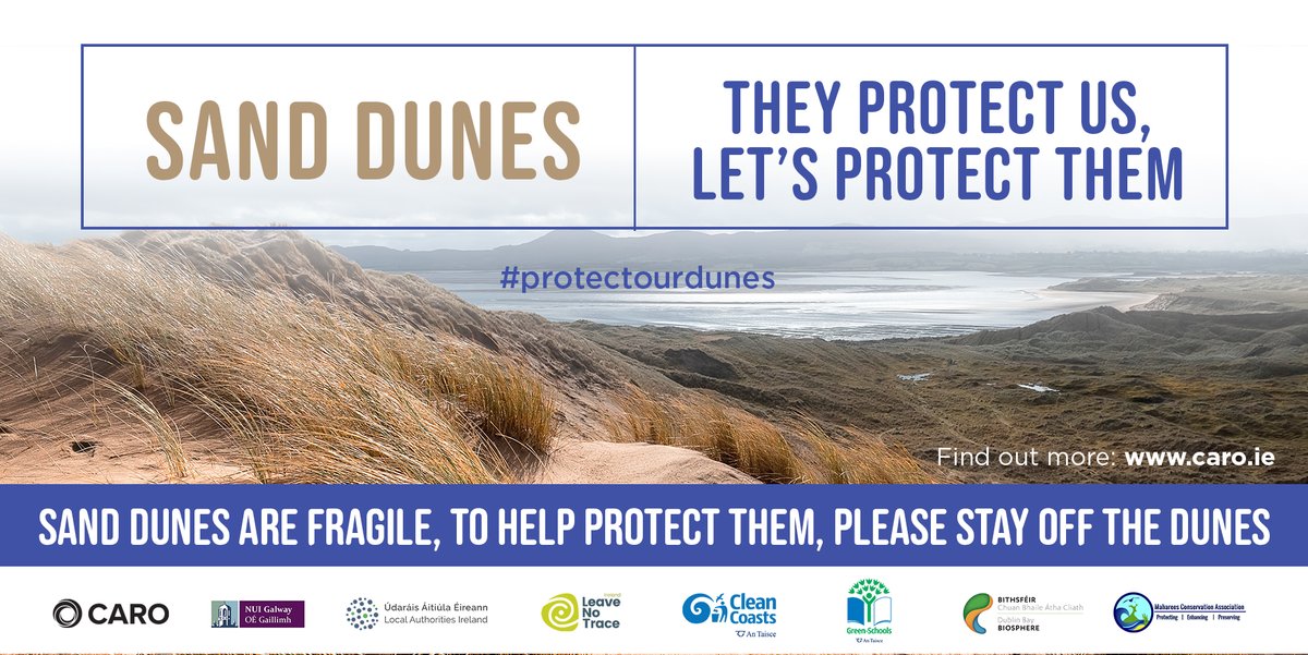 Considering a visit to the beach this August Bank Holiday Weekend, help #ProtectOurDunes by following the designated pathways and observing dune life from a distance. For more info visit caro.ie/projects-resea…