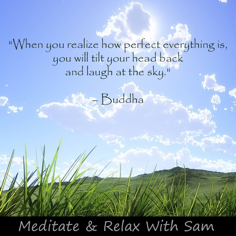 'When you realize how perfect everything is, you will tilt your head back and laugh at the sky' - Buddha

#meditate #meditation #guidedmeditation #quote #quotes #meditationquote