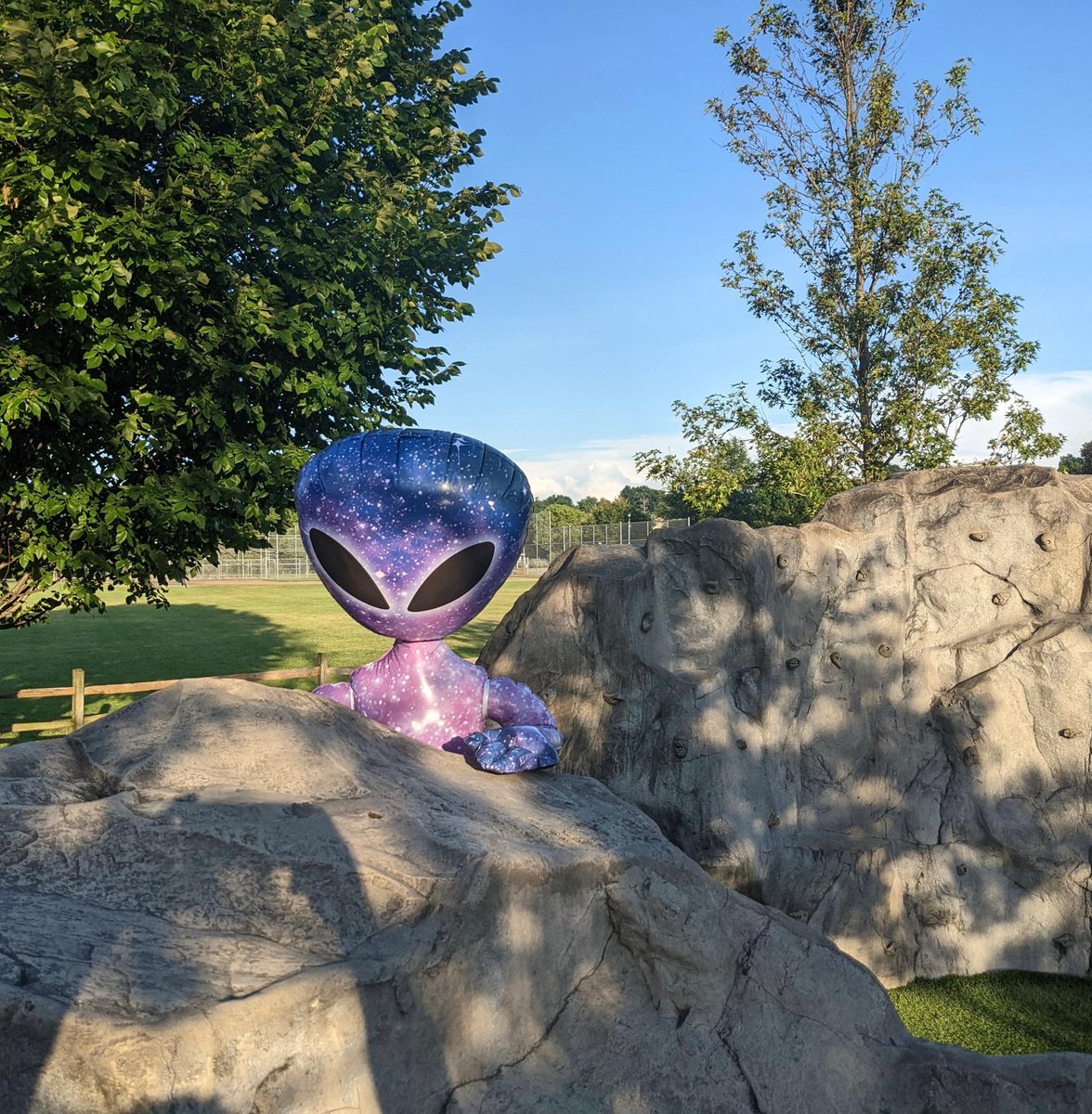 AndersonFoundation4Parks tweet media