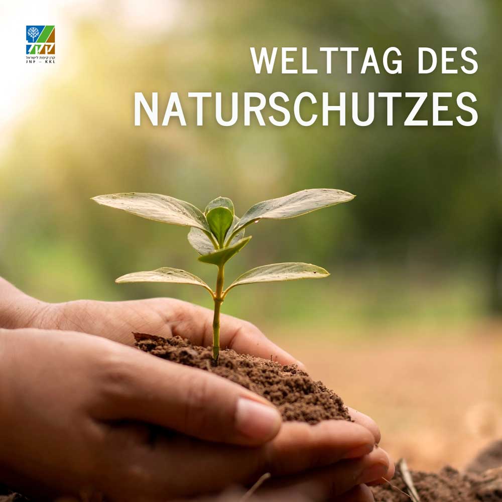 kkl_de's tweet photo. Der Welttag des Naturschutzes verfolgt ebenso wie wir das Ziel, das öffentliche Bewusstsein für den Schutz unserer bald endenden natürlichen Ressourcen zu schärfen. Das ist die Grundlage, auf der unsere Arbeit aufbaut &amp; nachhaltig erfolgreich sein kann.🌱
#NatureConservationDay https://t.co/S3BluzXGG0