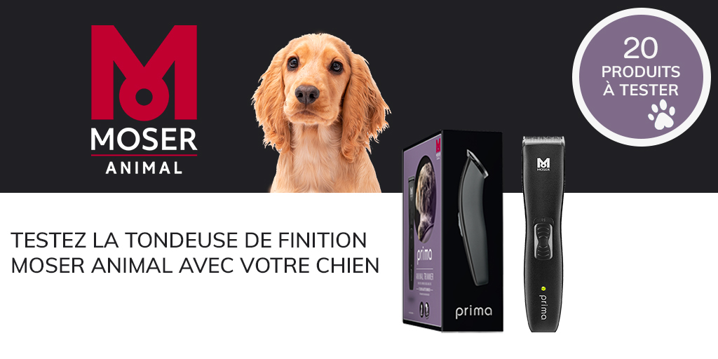 ConsoAnimo's tweet image. Inscrivez-vous et vous serez peut-être sélectionné pour tester gratuitement la tondeuse sans fil de finition MOSER Animal 🪒🐶

#consoanimo #testproduit

consoanimo.com/test/tondeuse-…