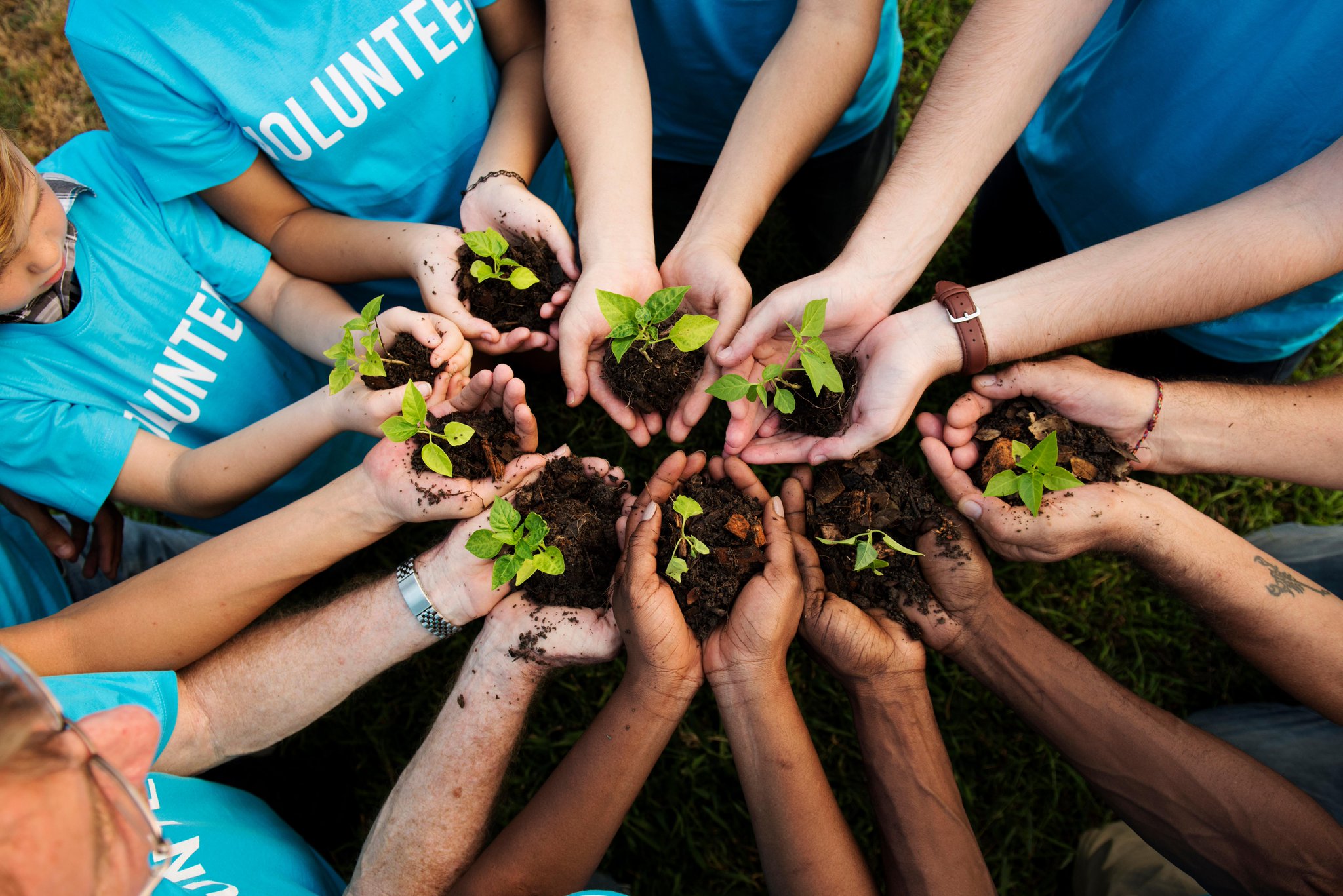 FYwknQGUsAIiDSt.jpg:large