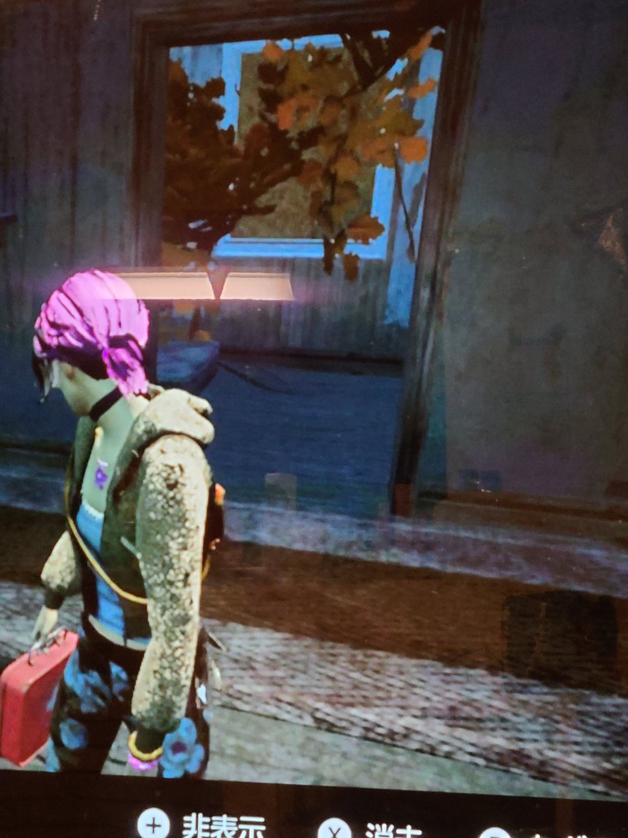 suzu0722s2's tweet photo. @DeadbyBHVR_JP えっ？枝がw https://t.co/CSn2XUntiX