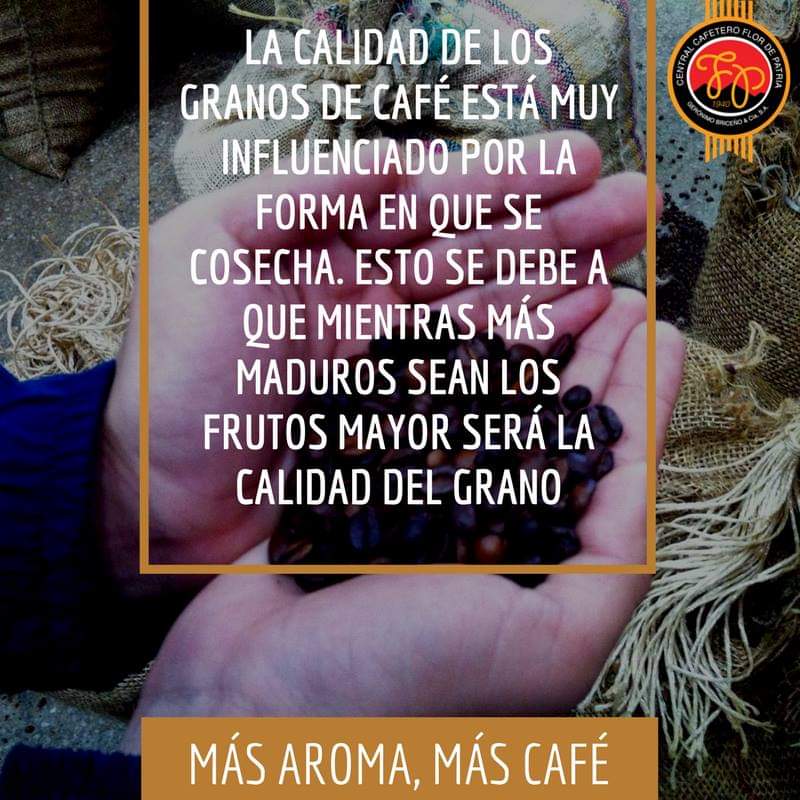 cafefdp's tweet photo. https://t.co/TkR3nqiiTO