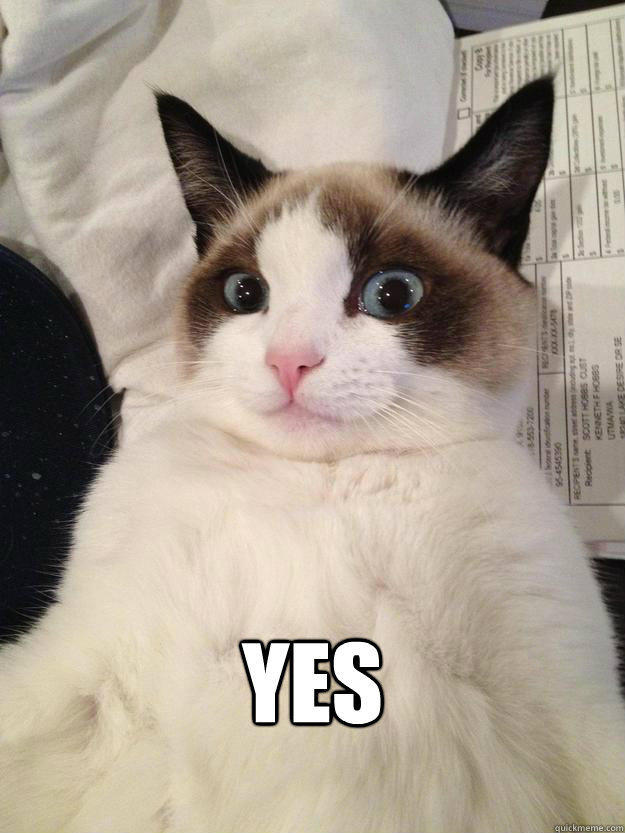Grumpy Cat Yes