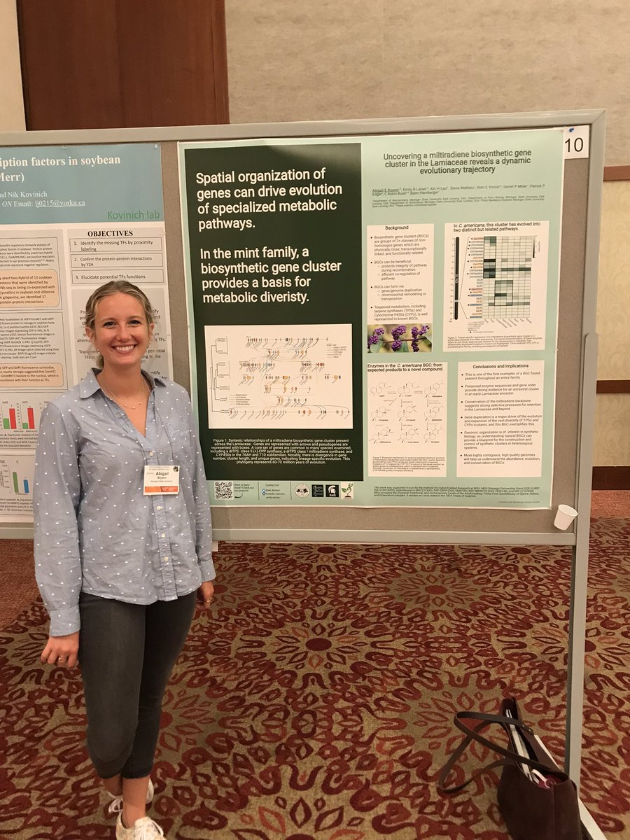 Abigail E Bryson tweet media