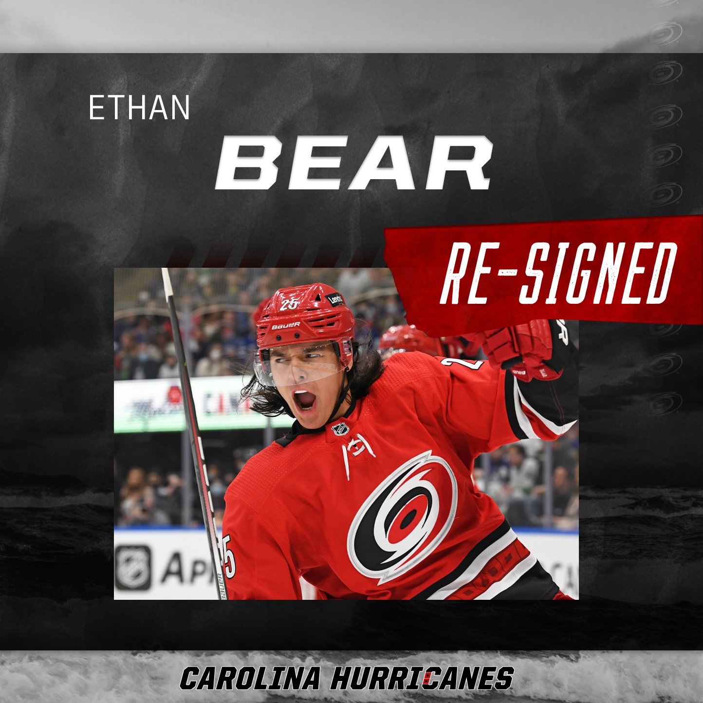 Carolina Hurricanes Ethan Bear - Canes Country