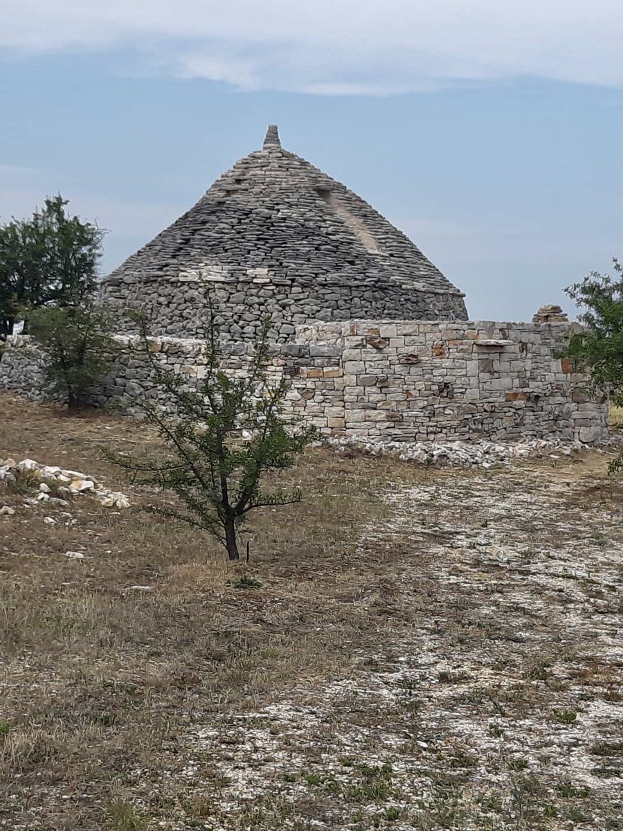 f_girasole's tweet photo. Silenzio
Campagna
Natura
Genuinità
#postamangieri
#nocaos
#farfrombigcity
#murge #apulia #puglia https://t.co/AEiXGwcA9i