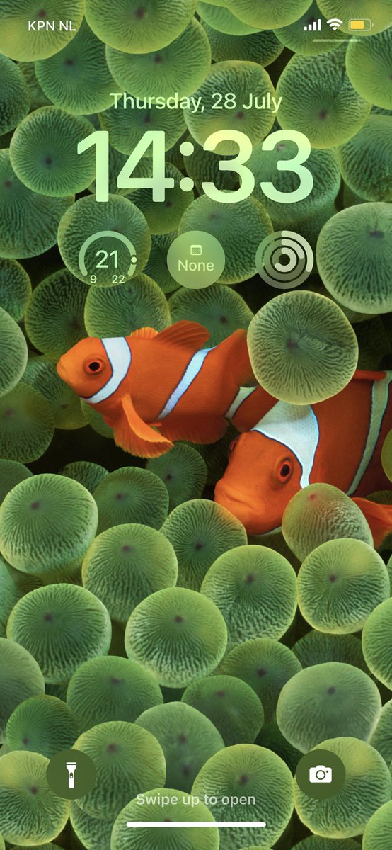 henkjurriens's tweet image. #clownfish is back! #iOS16Beta4