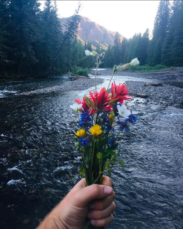 silvergate_MT's tweet photo. … Get Outside… Hike, Explore, &amp; Experience the Bounty of a New Day!!! Photo Credit: Hunter Graham 
#mountains #mountainviews #river #windingriver #wildflowers #flowerpower #getoutside #hike #explore #eastofyellowstone #silvergatemontana #silvergatelodging #silvergate #cookecity https://t.co/5YJWEoKO1q
