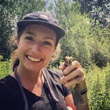 WomenofKState's tweet photo. K-State's Katy Silber (and her research!) featured on NPR: Outfitting cows with GPS trackers could be good for ranchers and prairie birds, https://t.co/F26lG5VlTo @KState @KStateBio @KonzaLTER @KStateArtSci https://t.co/Q7aZWaCXrg