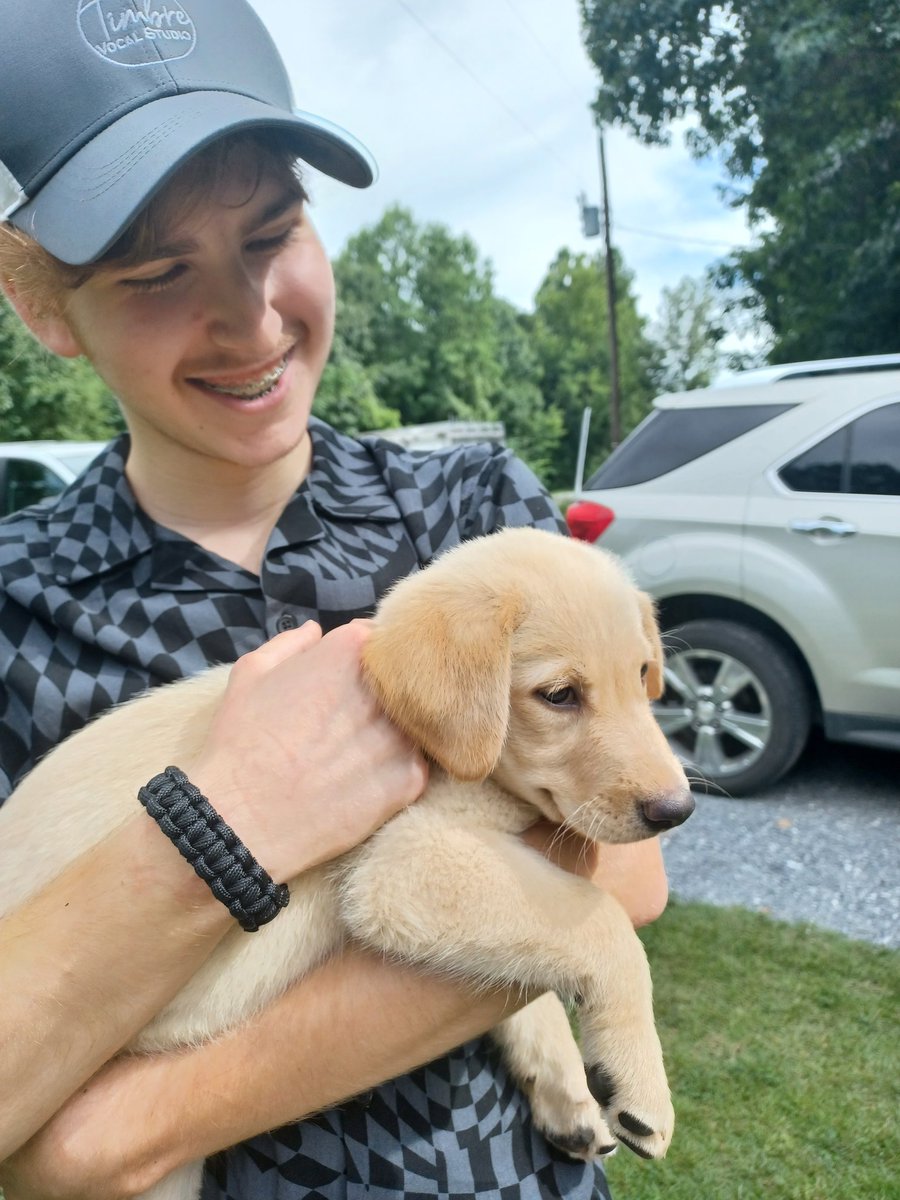 vivjoywriter_ms's tweet photo. Smiles galore..Our new girl.😍😍🥲🥲
#newpuppy #labrador #labrashepherd
#family #puppiesoftwitter https://t.co/03qrNsrwce