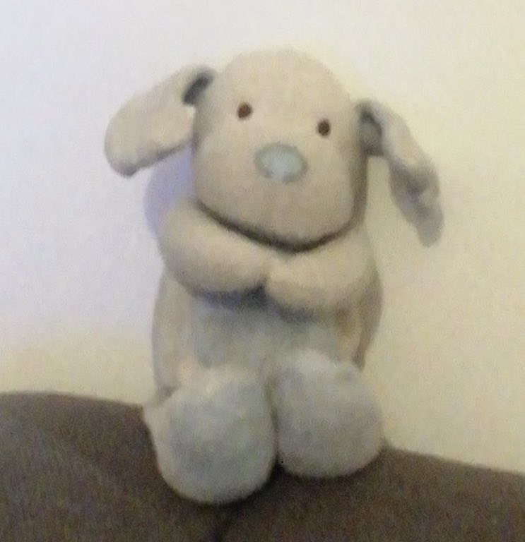 JEJMDG's tweet photo. @TUIUK we’ve just come home from @proturhotels Palmeras Playa Hotel, Sa Coma, where our teddy ‘Snuggles’ got scooped up with the bedding & headed to the cleaning company. Desperately trying get him home, my little boy is devastated! #missingteddy #findsnuggles #missinginmajorca https://t.co/0o4JC1h0rG