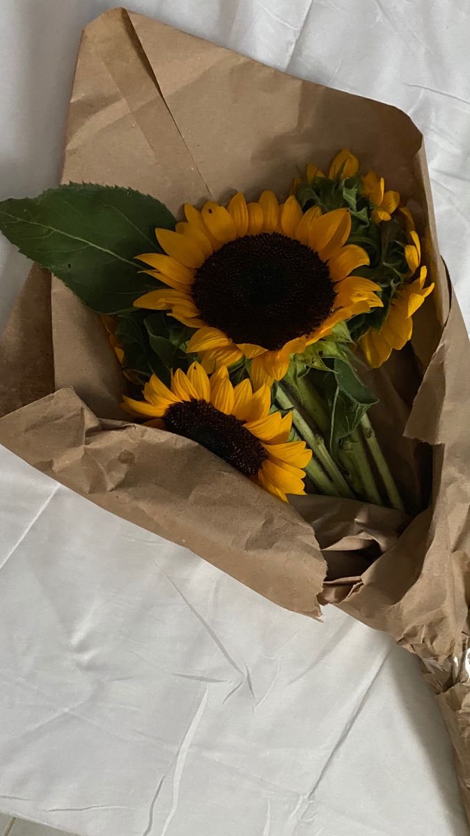 sunflowers <3
