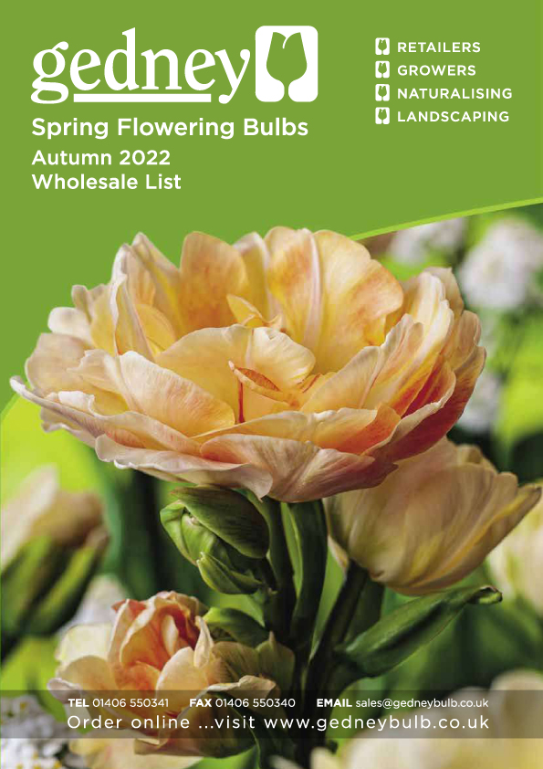 Don't miss out on ordering our Spring Flowering bulbs by using this link ---> gedneybulb.co.uk/online-orderin… #tulips #daffodils #snowdrops #bluebells