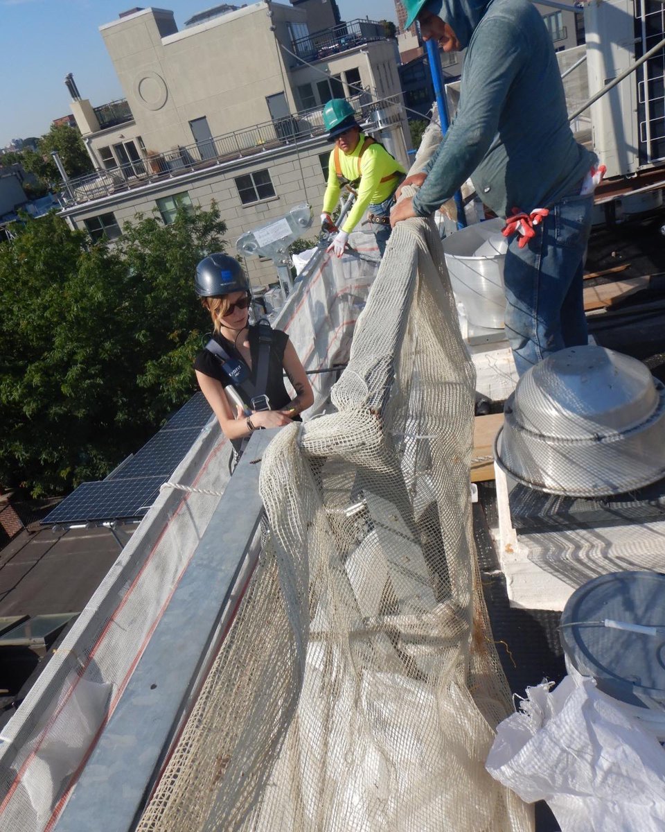 FSIArchitecture's tweet photo. Inspection for future rainscreen installation.
#inspection #FacadeInspection #CarrollStreet #Brooklyn
#FSIArchitecture #ADayInTheLifeOfFSI #architecture #FSI #Safety https://t.co/ihi0GHXu5S