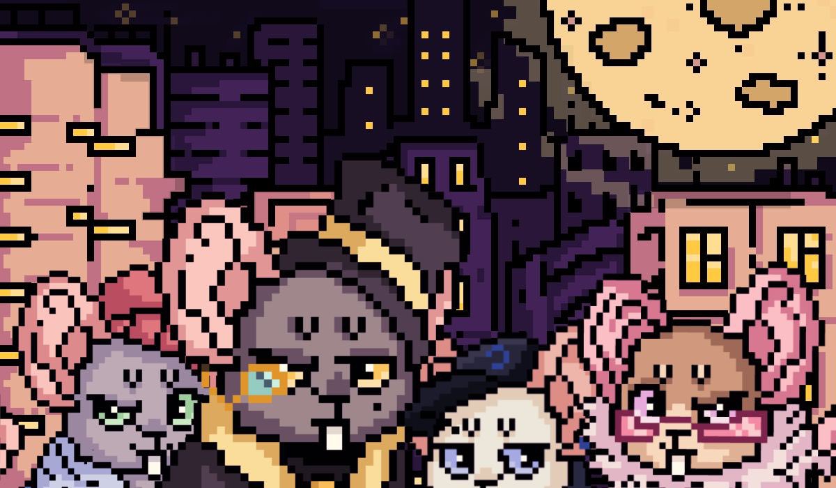 RICH𝕏 tweet media