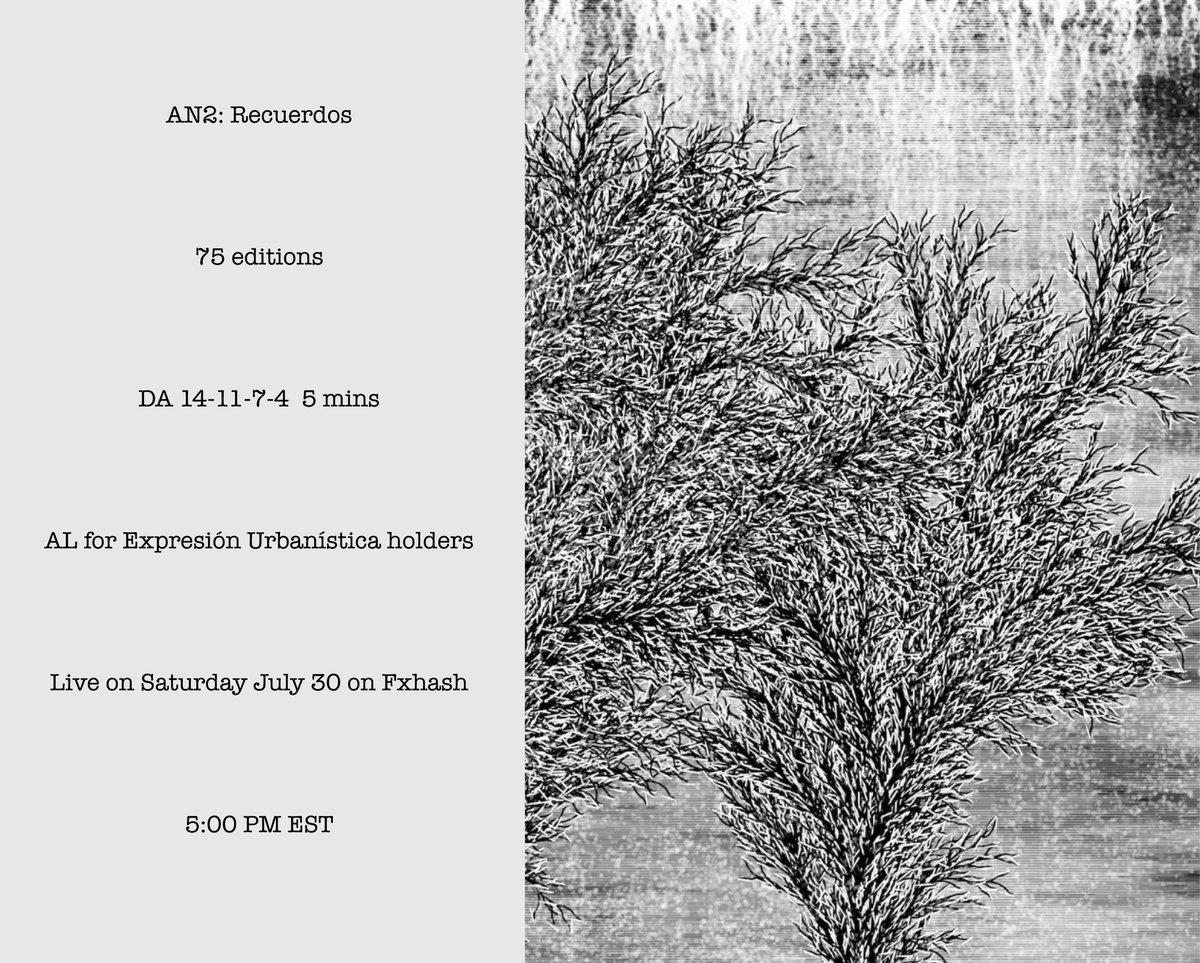 Irukandji tweet media