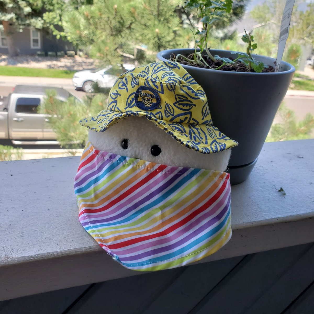 sucklet7's tweet photo. i am trying to show cousin #mosslet how to wear a bandana.
#sucklet. #teacherlet. https://t.co/A4GiAzCDsf