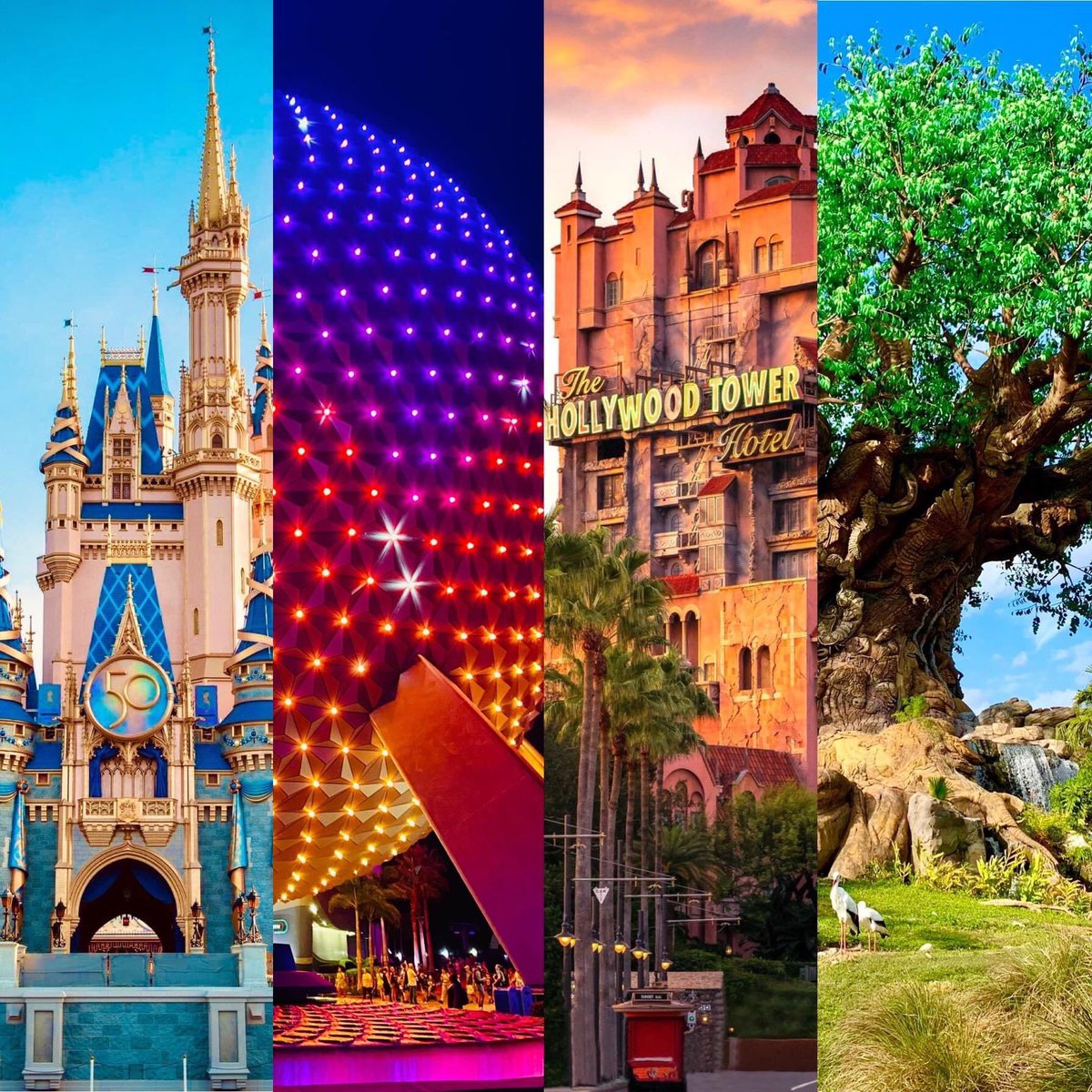 codyghosthost's tweet photo. Walt Disney World is my paradise
👍🏻 if you want to go
❤️ if you need to go https://t.co/3Xzrji7aTZ