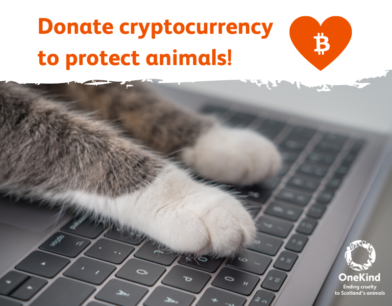 We're delighted to have received our 1st #cryptocurrency gift! Thank you to this kind supporter & to all who fuel our work protecting Scotland's animals 🧡

Interested in donating #crypto to help animals? Learn more⬇️
onekind.scot/get-involved/s…

@TheGivingBlock #CryptoPhilanthrophy