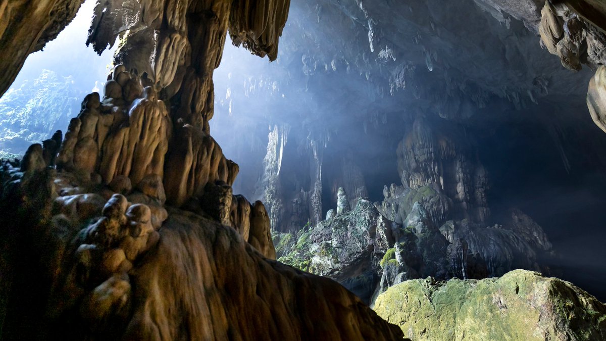 Quora em português tweet media