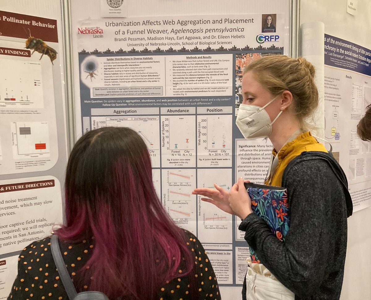 Nebraska CAS (@unlcas) on Twitter photo Bravo to Brandi Pessman, graduate student in <a href="/UNLsbs/">Nebraska Bio Sci</a>, for earning a Founders Memorial Poster Paper Award from <a href="/AnimBehSociety/">Animal Behavior Society</a>! #abs2022
<a href="/BrandiPessman/">Brandi Pessman</a> <a href="/UNLresearch/">Nebraska Research</a> <a href="/hebets_lab/">Dr. Eileen Hebets (she/her) 🕷</a> Bravo to Brandi Pessman, graduate student in <a href="/UNLsbs/">Nebraska Bio Sci</a>, for earning a Founders Memorial Poster Paper Award from <a href="/AnimBehSociety/">Animal Behavior Society</a>! #abs2022
<a href="/BrandiPessman/">Brandi Pessman</a> <a href="/UNLresearch/">Nebraska Research</a> <a href="/hebets_lab/">Dr. Eileen Hebets (she/her) 🕷</a>