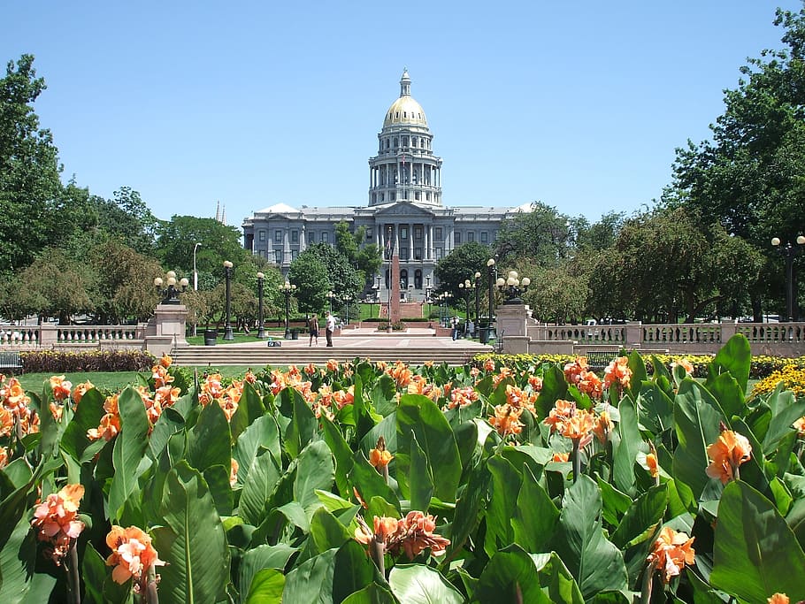 RockyMtnMed's tweet photo. Fantastic opportunity for an academic Rheumatologist to join a collaborative team of dedicated faculty in Denver, Colorado!
Work & play in Colorado!
Contact Arleen at arichardson@rm-med.com
#PhysicianSourcing #RheumTwitter #Rheumatology #MedTwitter #RheumEd @ACRheum @RheumNow https://t.co/zOxpwgFu5E