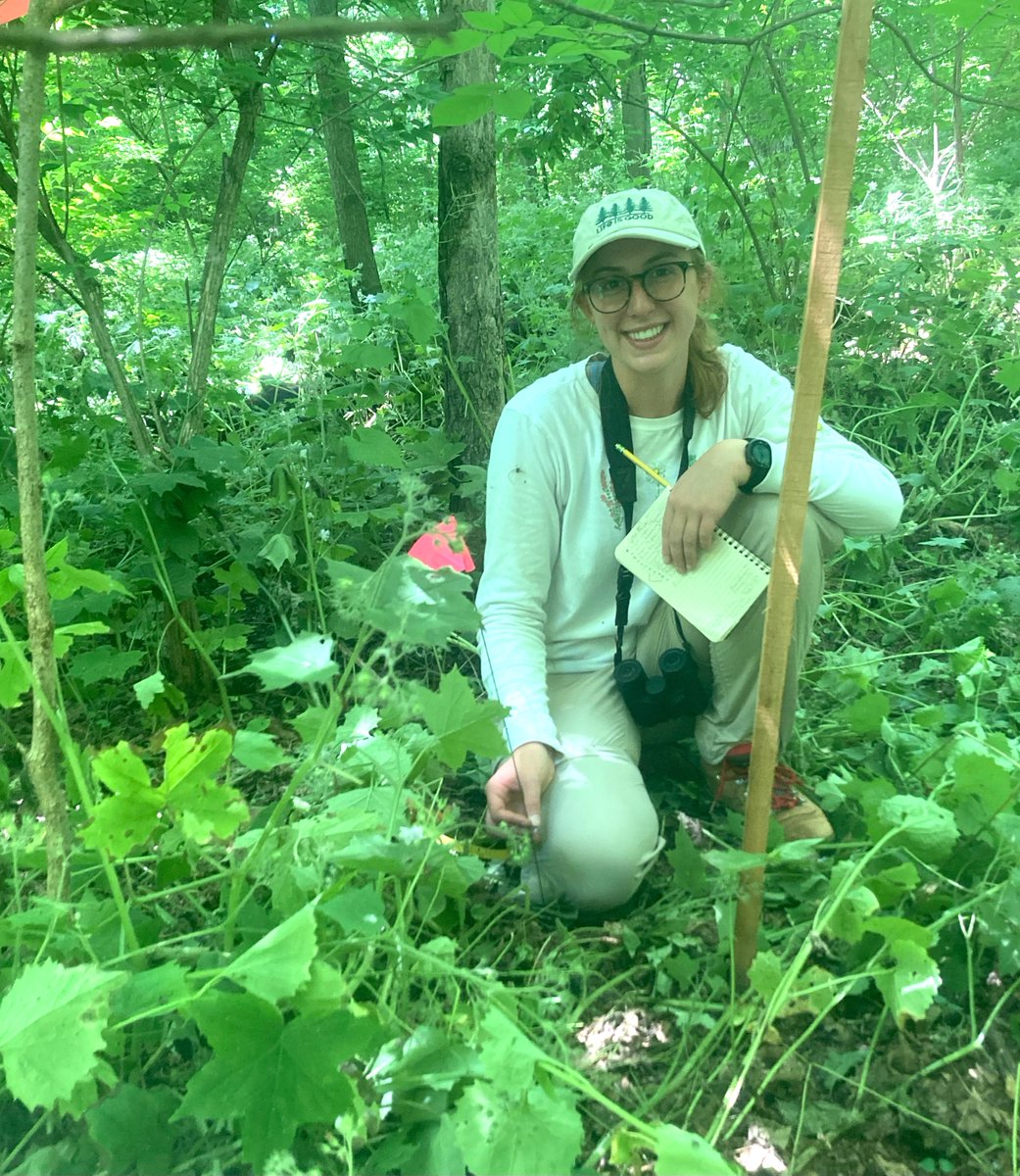 stonelab's tweet photo. Meet REU student Emma, senior majoring in Environmental Studies with a concentration in Conservation Sciences @RoanokeCollege. Emma is studying the changing #forest composition of the #LakeErie Islands due to the invasion of the Emerald Ash Borer. -c 
#stonelab2022 https://t.co/Kf9KAXcVxT
