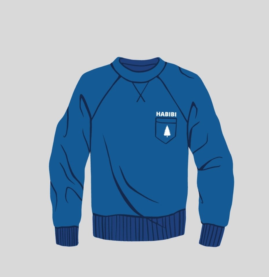 HABIBI à la mode tweet media