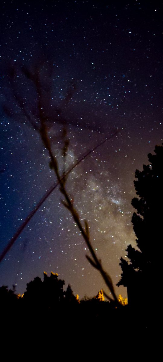 orionsbelttt's tweet image. Samanyolu ✨ sizin seçiminiz hangisi?
@XiaomiTurkiye #pocox3 uzun pozlama ile yıldızlı gökyüzü ✨🧡