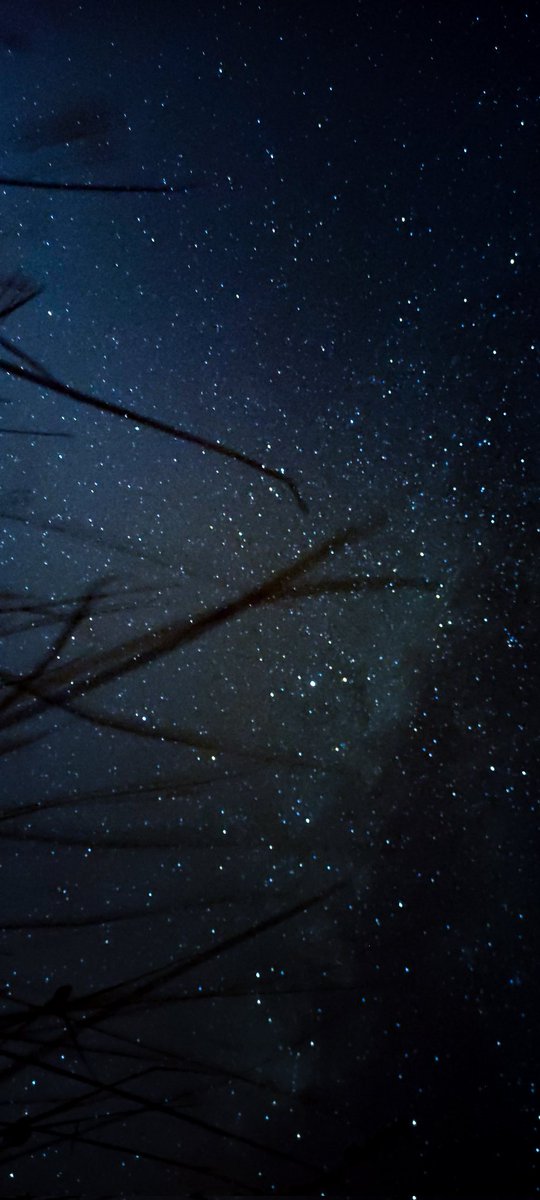 orionsbelttt's tweet image. Samanyolu ✨ sizin seçiminiz hangisi?
@XiaomiTurkiye #pocox3 uzun pozlama ile yıldızlı gökyüzü ✨🧡