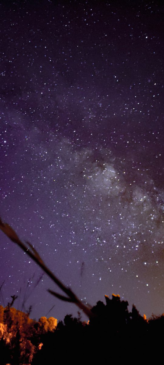 orionsbelttt's tweet image. Samanyolu ✨ sizin seçiminiz hangisi?
@XiaomiTurkiye #pocox3 uzun pozlama ile yıldızlı gökyüzü ✨🧡