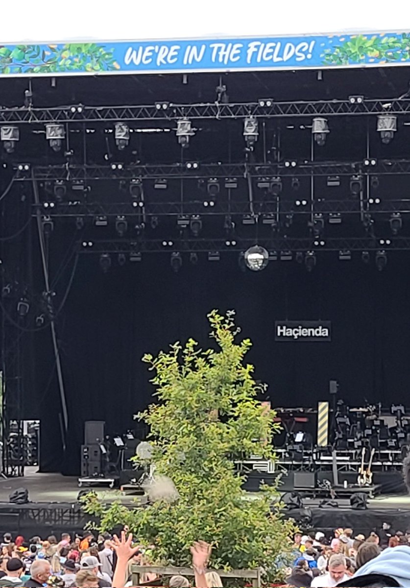 markdickson79's tweet photo. @KendalCalling, I'm all for the trees, I love the deer park, but for the love of god! Move this tree! Is it the main act? 🤷 https://t.co/zs4bZnqs4C