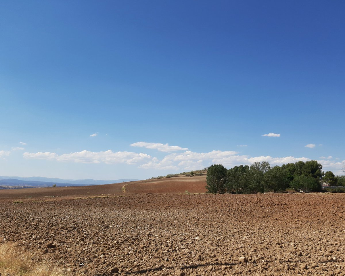 celesgalan64's tweet photo. A que ya sabeis dónde estoy? 🏜🏜🏜 😂😂😂
#sembraos y #montañas https://t.co/kRzK9Jc25n