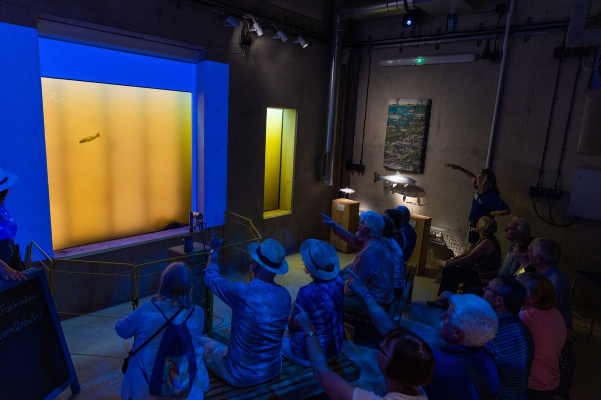 SevernUnlocked's tweet photo. Come and explore #DiglisFishPass and underwater viewing gallery this summer! We have lots of events running at the fish pass next week, including family friendly sessions and documentary showings 😃🐟🙌 Dates and times here 👉https://t.co/P3uY0SfuTr https://t.co/BWORsTdx8y
