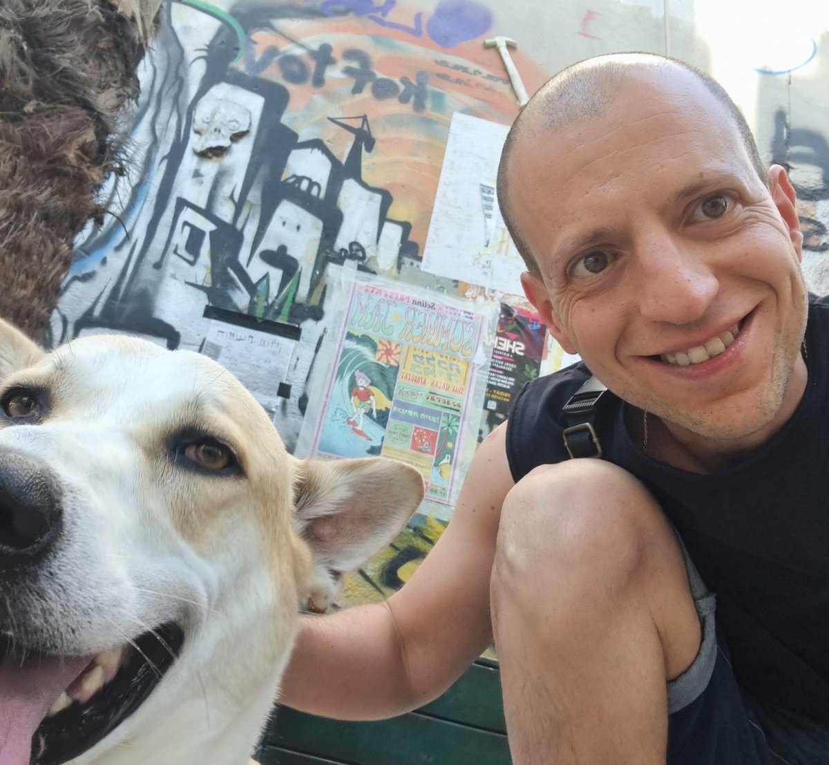 חזרתי. יהיה מעניין