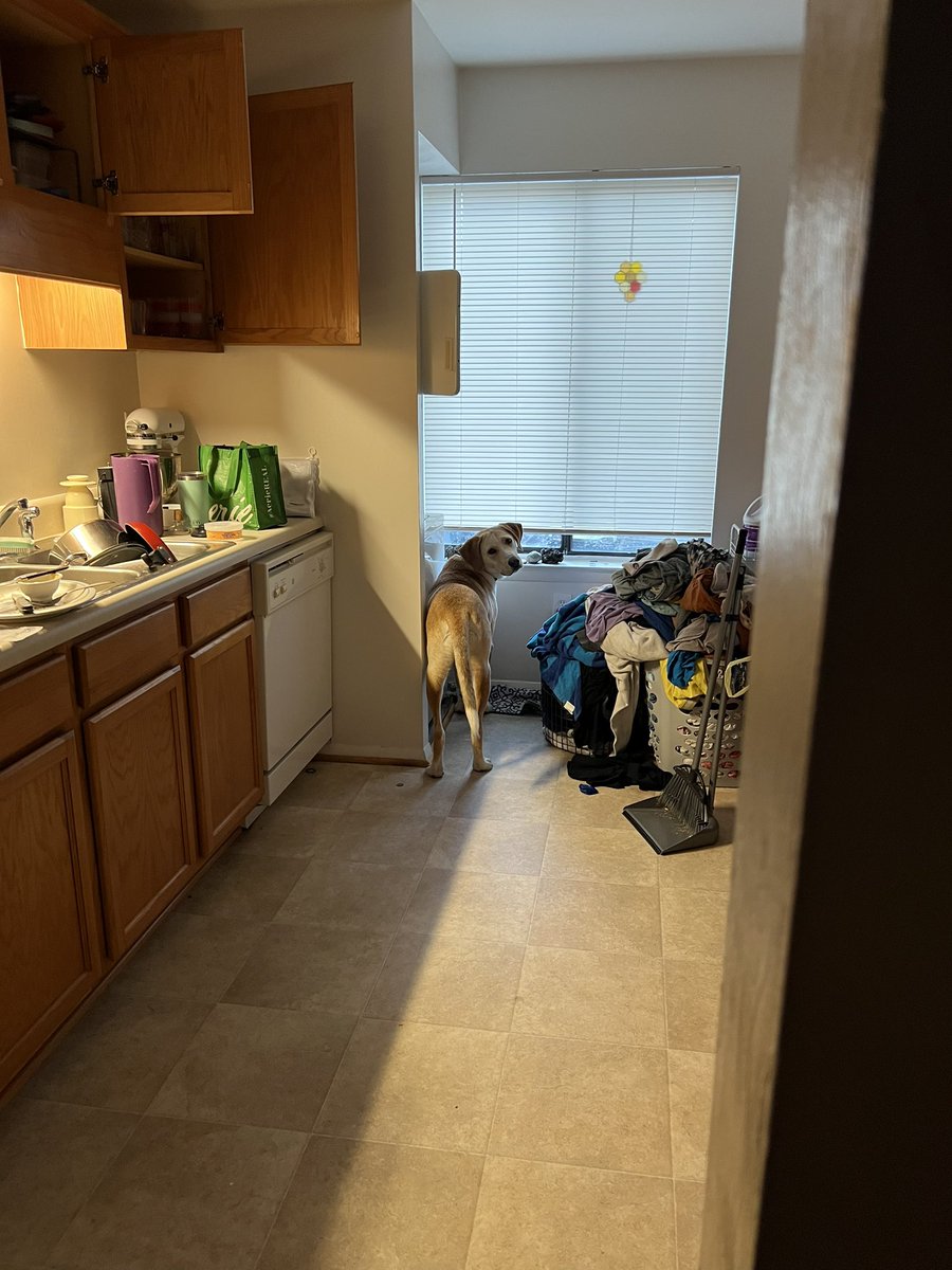 He’s like “mom what u lookin at”