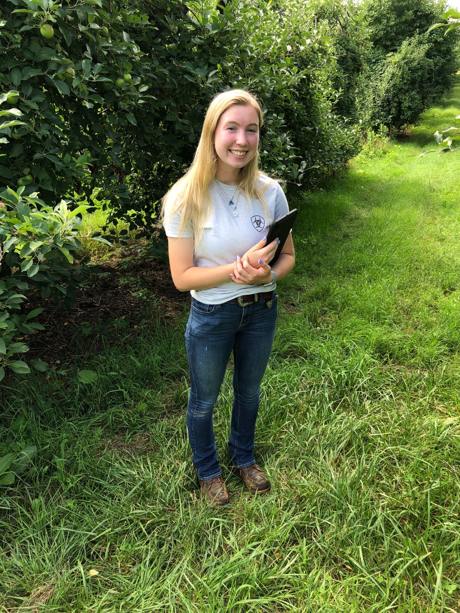 OKADATOG's tweet image. It was good to see Ag Tech student interns in the field. Here's Alexandria Smith assessing an apple orchard in Berrien Center, MI. 🍎
