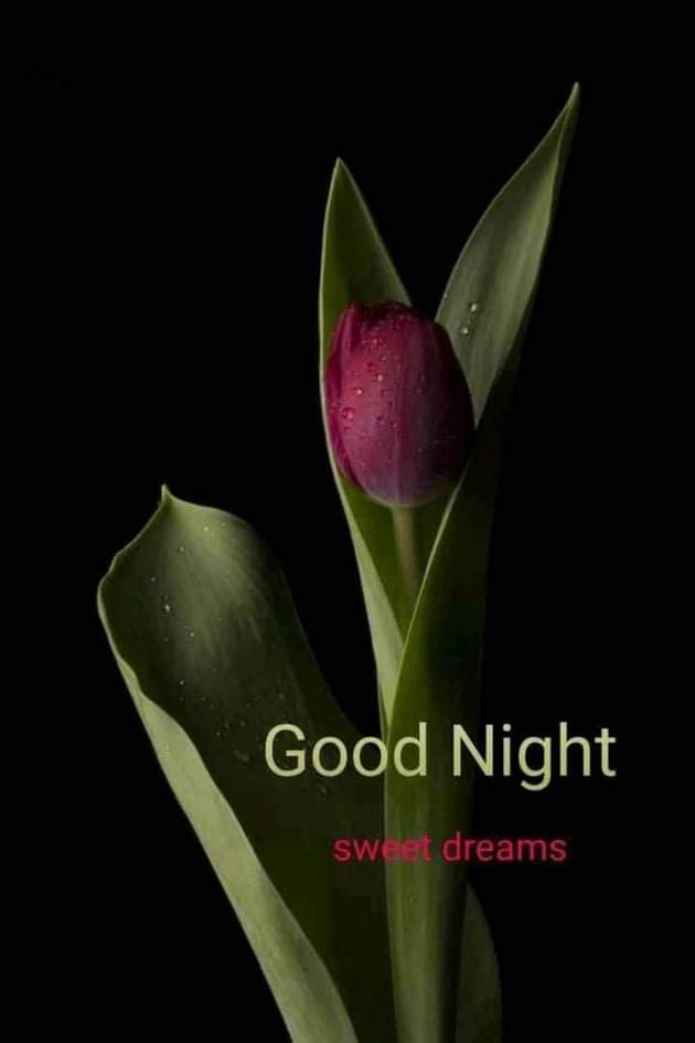 HelpfullTs's tweet image. 