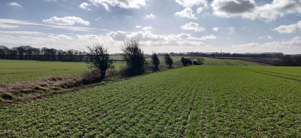 Energy and Environment Institute tweet media